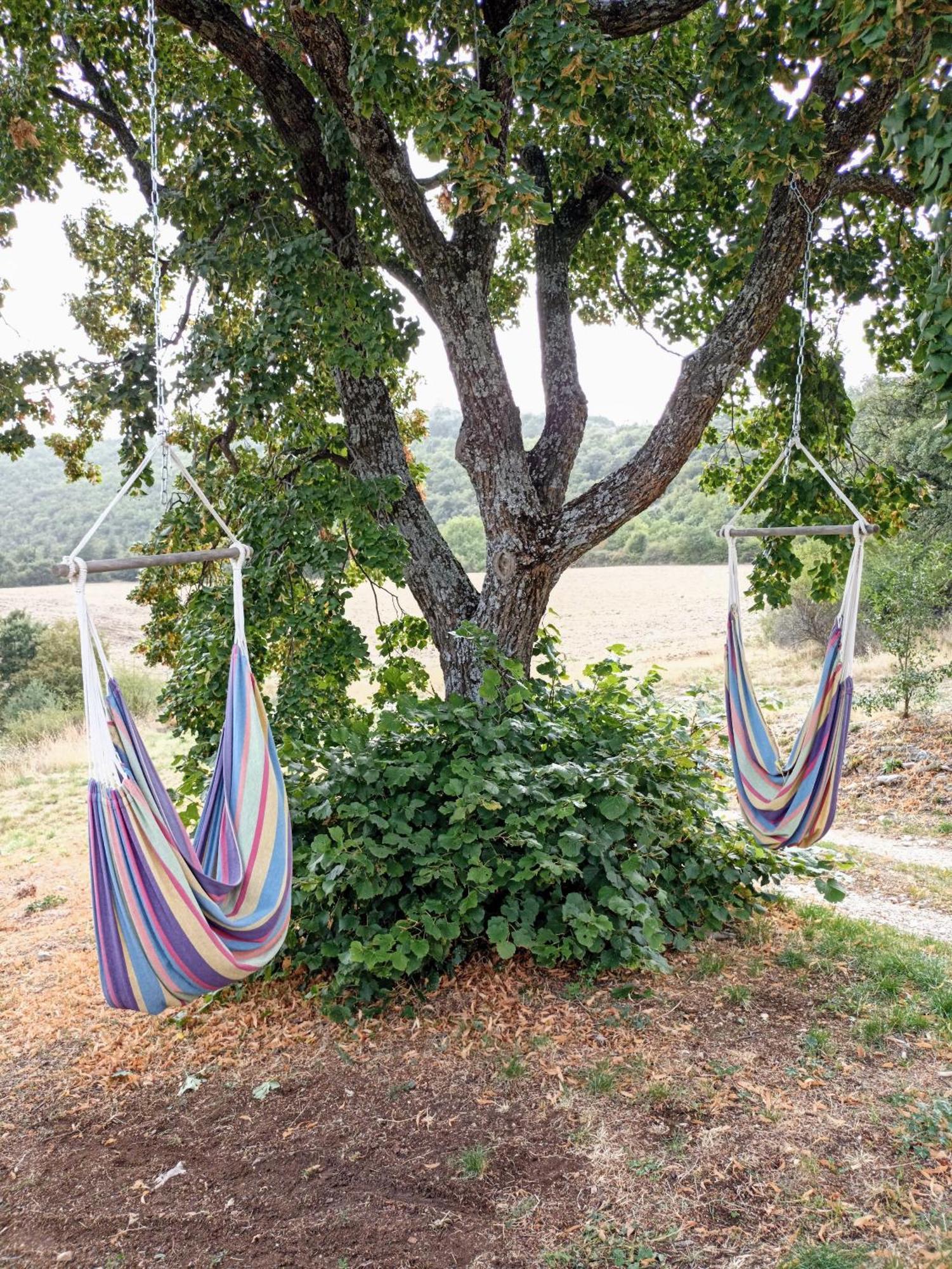 Gite Avec Piscine "La Maison De Valentine" En Provence Montsalier المظهر الخارجي الصورة